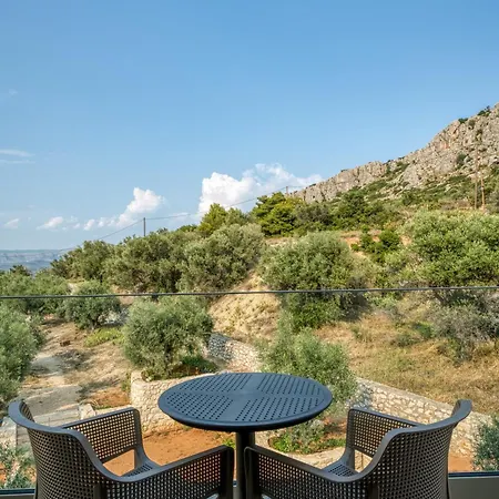 Palelia Living In The Olive Garden Hotel *