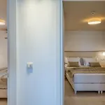 Hotell Palelia Living In The Olive Garden