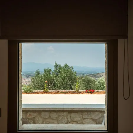 Palelia Living In The Olive Garden Hotel *